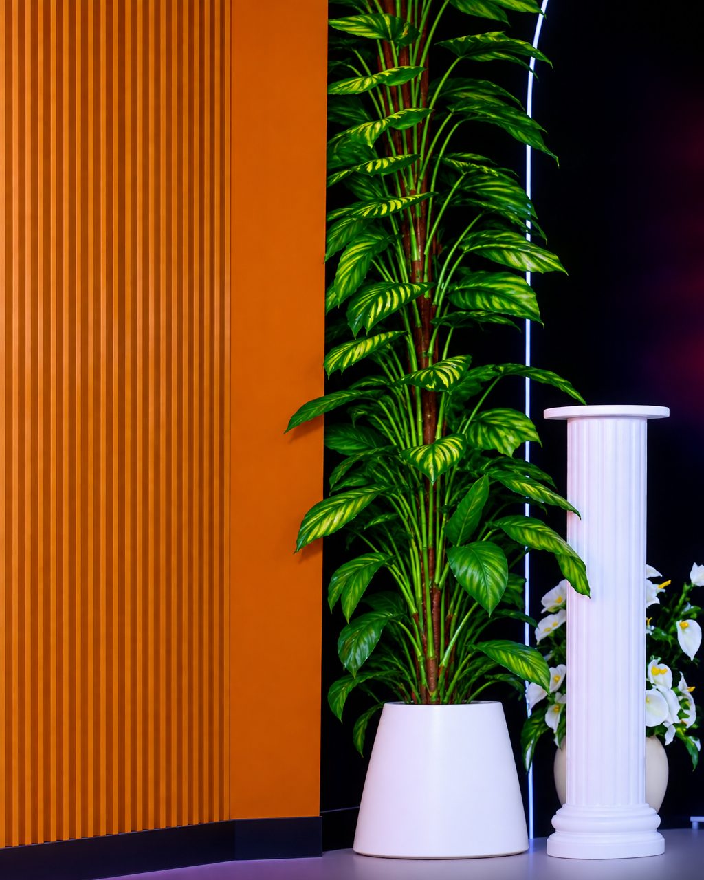 Orange accent wall