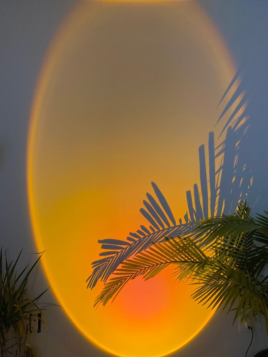 Sunset glow
